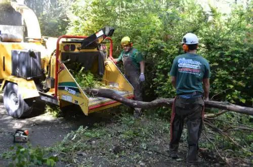 tree services Oak Grove